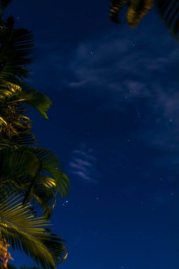 Yıldızlarla tropik gece gökyüzü, Florida Keys, Florida, Amerika Birleşik Devletleri