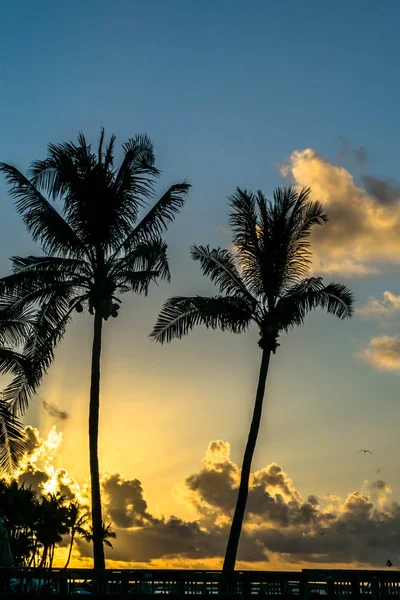 Sunrise Key West — Stock Photo, Image
