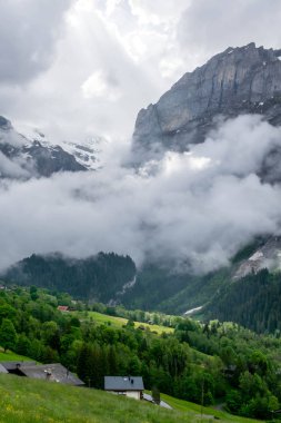 İsviçre Alpler dağlarında Grindelwald vadisi