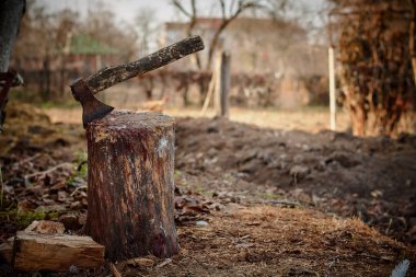 Üzerinde tüyler ve kan izleri görülebilir bir eski ahşap kütük içinde axe.