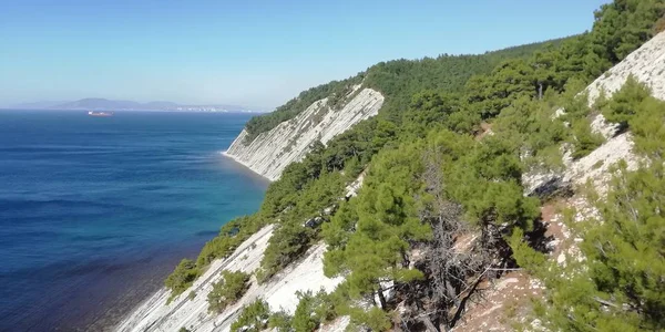 Karadeniz sahilleri, kayalar deniz, dağlarda orman boyunca
