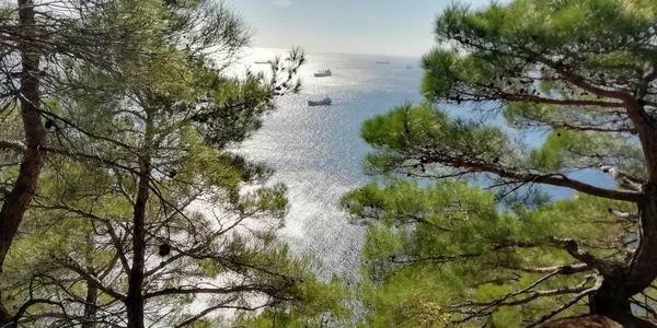 Çamlar deniz kenarındaki ormandan gelen gemilerin görünümü