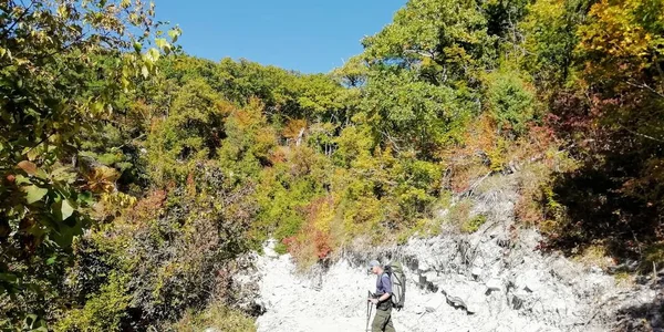 Dağlarda Yaprak Döken Orman — Stok fotoğraf