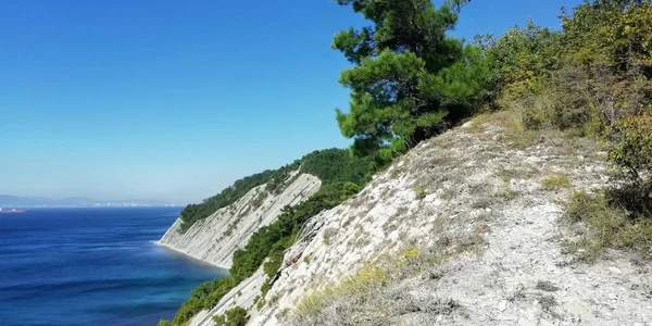 Beyaz kayalıklar üzerinde deniz kıyısı mavi gökyüzü