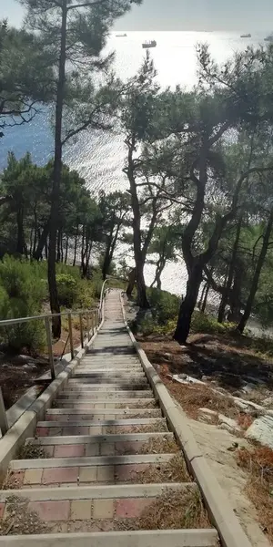 Çam ormanı boyunca denize uzun merdiven