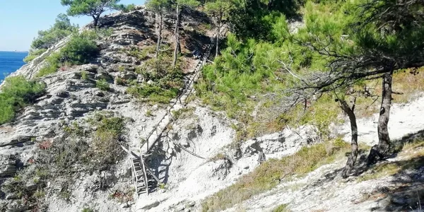 Wooden stairs on the rocks in the forest