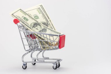 Birkaç yüz dolarlık banknotlar market arabasında.