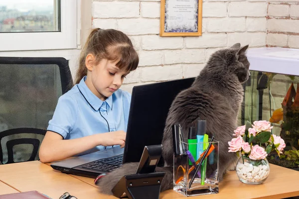 Nyolc éves lány az irodában, egy macska ül az asztalon. — Stock Fotó