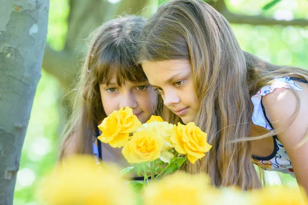 Los Niños Examinan Hermosas Rosas Amarillas Parque — Foto de Stock