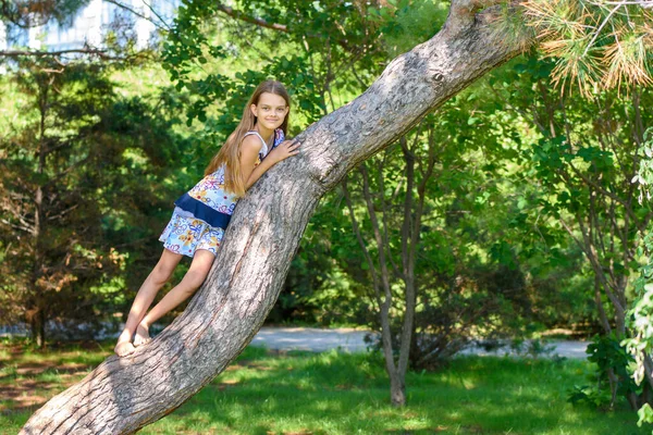 Девушка Залезла Дерево Играя Городском Парке — стоковое фото