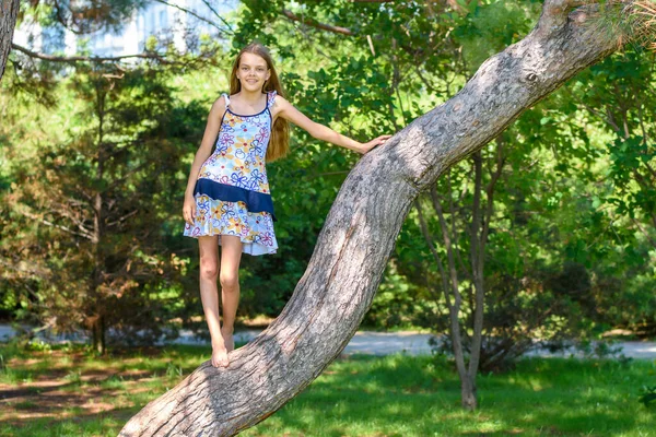 Девушка Залезла Дерево Городском Парке — стоковое фото