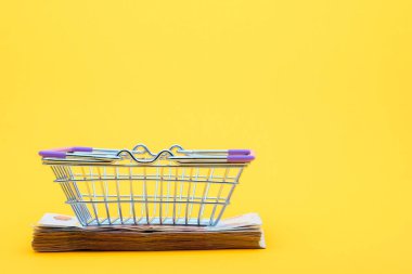 Banknotların üzerinde boş bir market sepeti var.