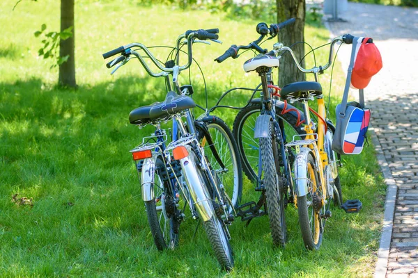 Четыре Велосипеда Разных Размеров Стоящих Газоне Парке — стоковое фото