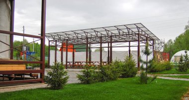 Yaz tatili için doğadaki ağaç.