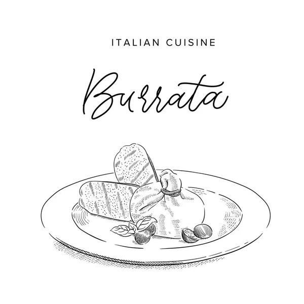 Burrata Formaggio Italiano Piatto Illustrazione Vettoriale Stile Schizzo — Vettoriale Stock