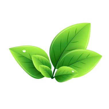 Vektör eko yeşil yaprakları. Soyut ekoloji arka plan