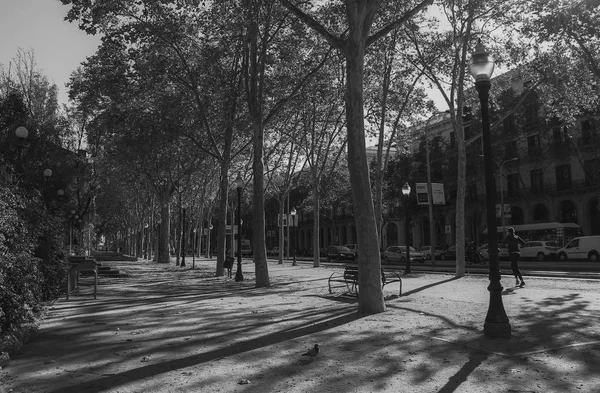 Vista Ampla Uma Rua Barcelona — Fotografia de Stock