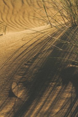 D üzerinde kum çim ve rüzgar işaretleri gölgeler yakın çekim