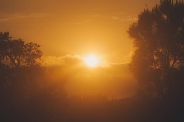 Bir kor bir dalı arasında bulutların arkasında kaybolan güneş