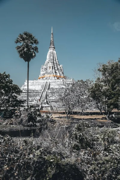 Che Phukhao Thong Temple Ayutthaya Thailand — Stock Photo, Image