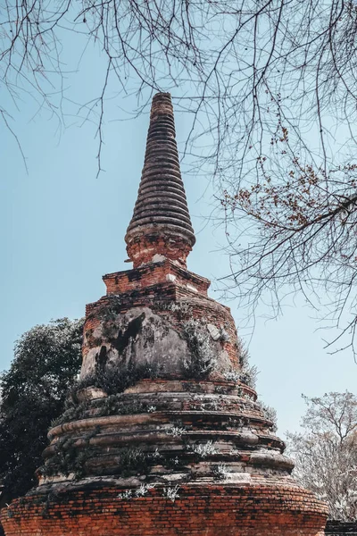 Ruins Wat Phra Sanphet Ayutthaya Thailand — Stock Photo, Image