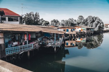 güzel bir plaj Pattaya, Tayland