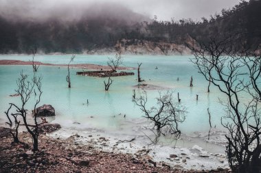 Sisli beyaz krater Bandung Jawa Endonezya toplayan