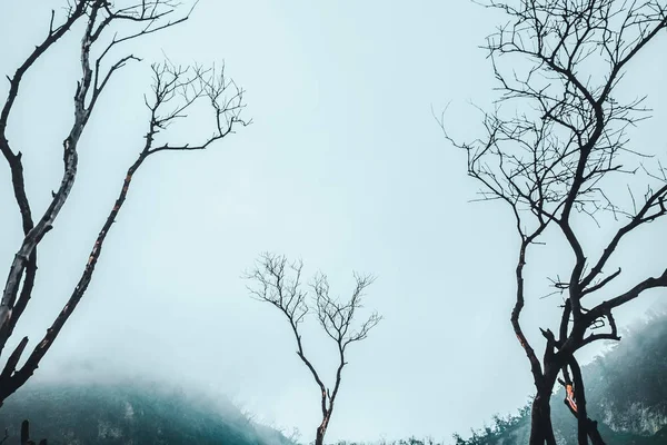 Foggy Scenery White Crater Bandung Jawa Indonesia — Stock Photo, Image