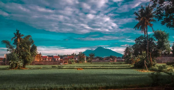 Beautiful Landscape Java Island Indonesia — Stock Photo, Image