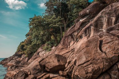 Phuket Tayland ağaçları ile kayalık deniz kıyısı