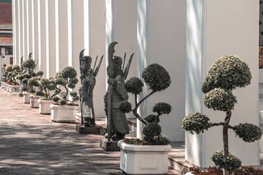 Ancient marble warriors and bonsai in pots