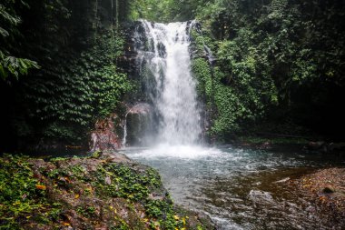 Yeşil ormandaki güzel yüksek şelale