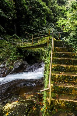 Eski köprünün üzerinde Bali hızlı nehirde yosun kaplı