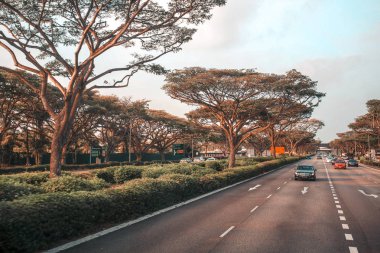 araba ve ağaçlar Singapur ile karayolu yolu