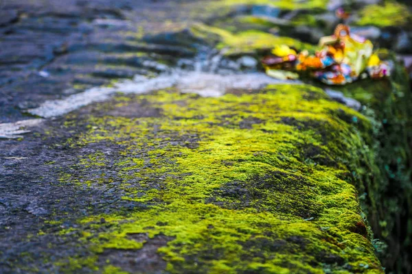 Close View Stone Surface Covered Moss — Stock Photo, Image