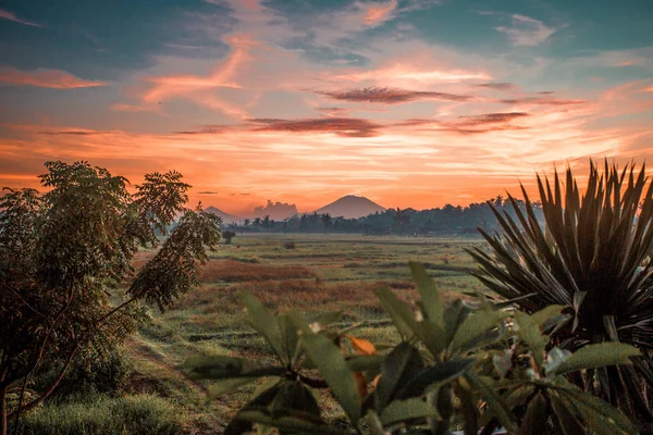 Bella Alba Sul Campo Estivo Nebbioso — Foto Stock