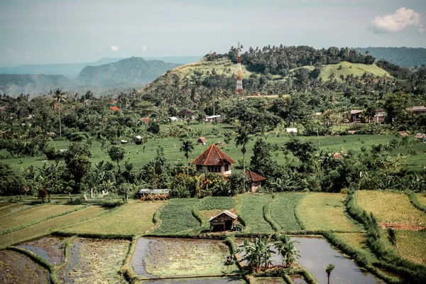 Small Houses Rural Area Bali — Stock Photo, Image