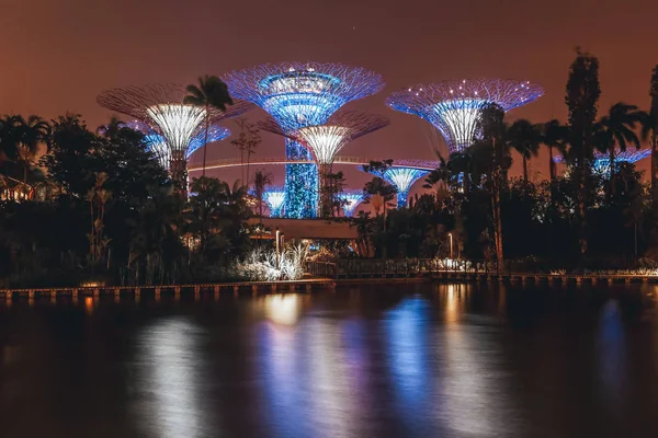 Supertree Tuin Buurt Van Marina Bay Singapore Nachts — Stockfoto