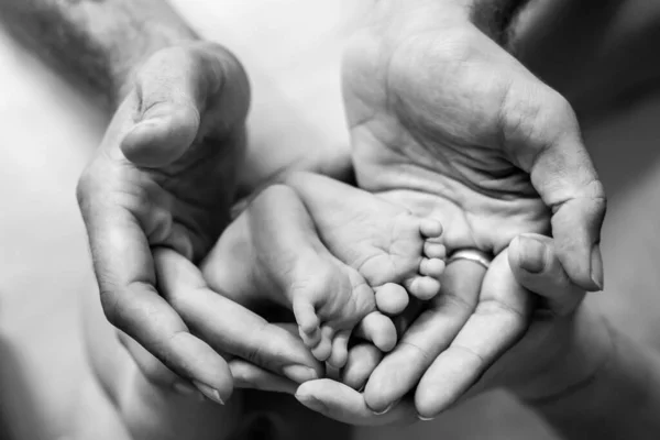 Mãos Pai Mãe Suavemente Segurar Pés Bebê Recém Nascido Foto — Fotografia de Stock