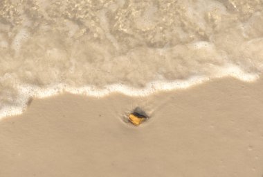 Kum üzerinde yalnız kaya