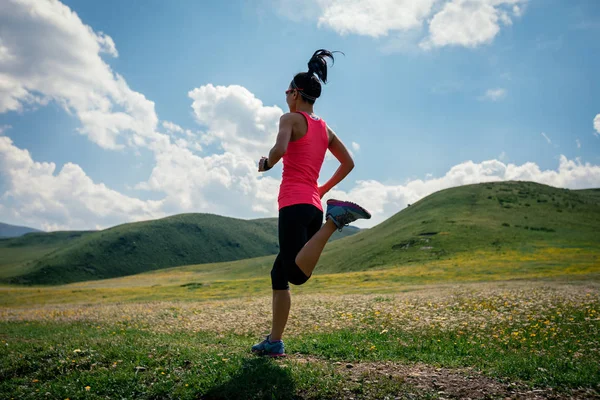 Junge Fitness Läuferin Läuft Grünlandpfad — Stockfoto