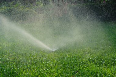 Çim sulama Bahçe Sulama sistemi sprey