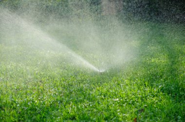 Çim sulama Bahçe Sulama sistemi sprey