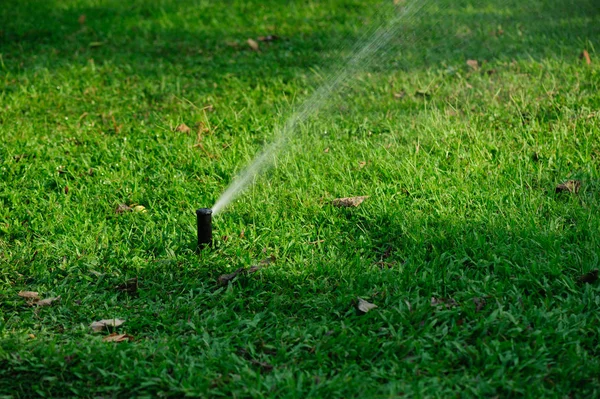 Bewässerungssystem Für Den Garten Sprüht Den Rasen — Stockfoto
