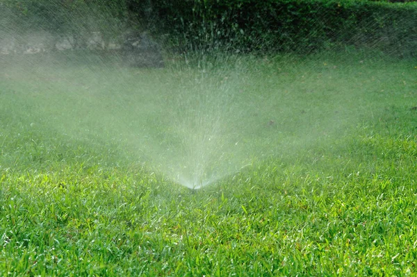 Bewässerungssystem Für Den Garten Sprüht Den Rasen — Stockfoto