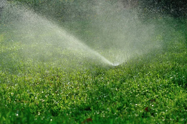 Garden Irrigation System Spray Watering Lawn — Stock Photo, Image