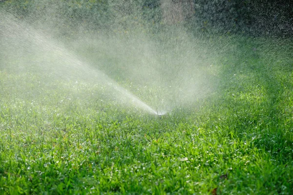 System Nawadniania Ogrodu Spray Podlewania Trawnika — Zdjęcie stockowe