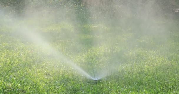 Automatische Sprinklers Drenken Groen Gras — Stockvideo