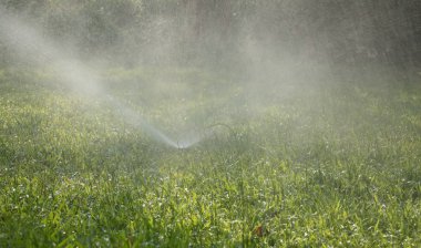 Otomatik Sprinkler yeşil çim sulama