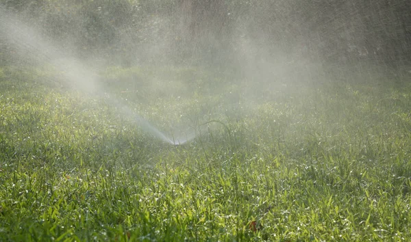 Automatic Sprinklers Watering Green Grass — Stock Photo, Image
